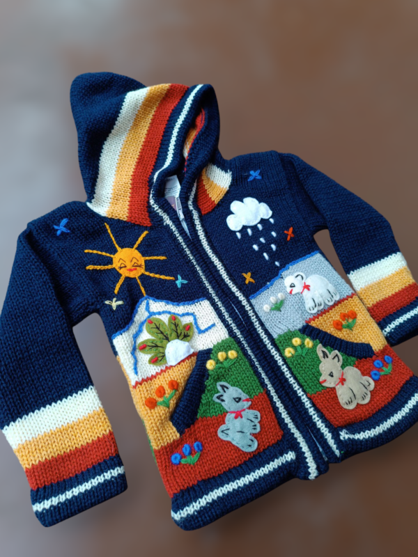 Blusa Casaco de Inverno Infantil Tricot Peruano Bordado - Image 2
